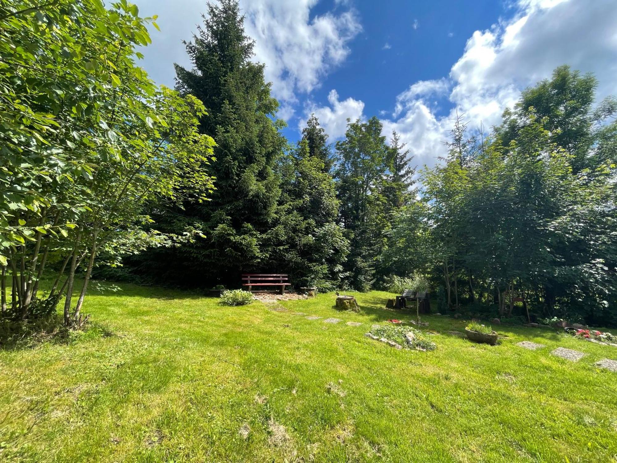 Casa Black Forest - Freudenstadt Kniebis Экстерьер фото
