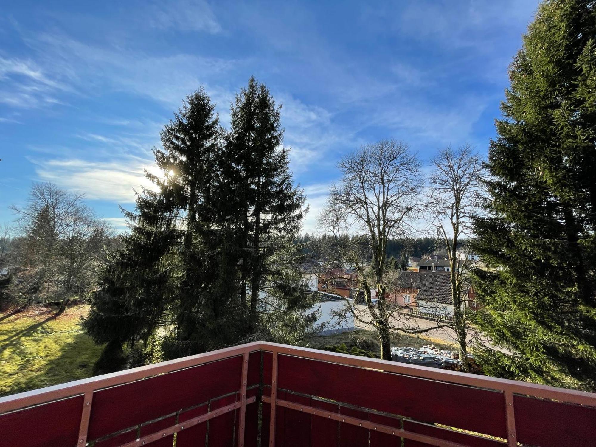 Casa Black Forest - Freudenstadt Kniebis Экстерьер фото